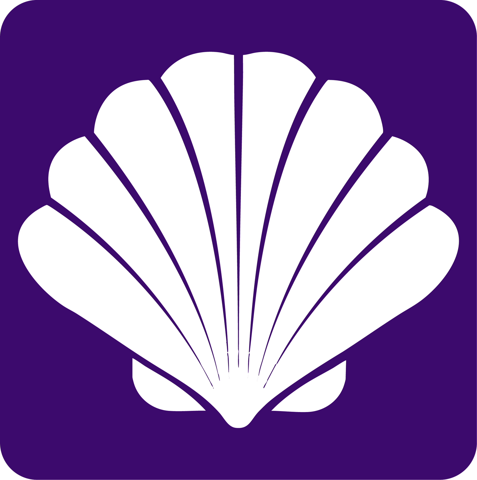 Half Shell Club | The Finest on the Half Shell